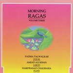 Morning Ragas - Volume 3 - Pandit Rupak Kulkarni Song Download