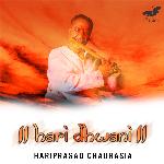 Hari Dhwani - Raga Lalit - Pandit Rupak Kulkarni Song Download